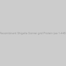 Image of Recombinant Shigella Sonnei gnd Protein (aa 1-445)